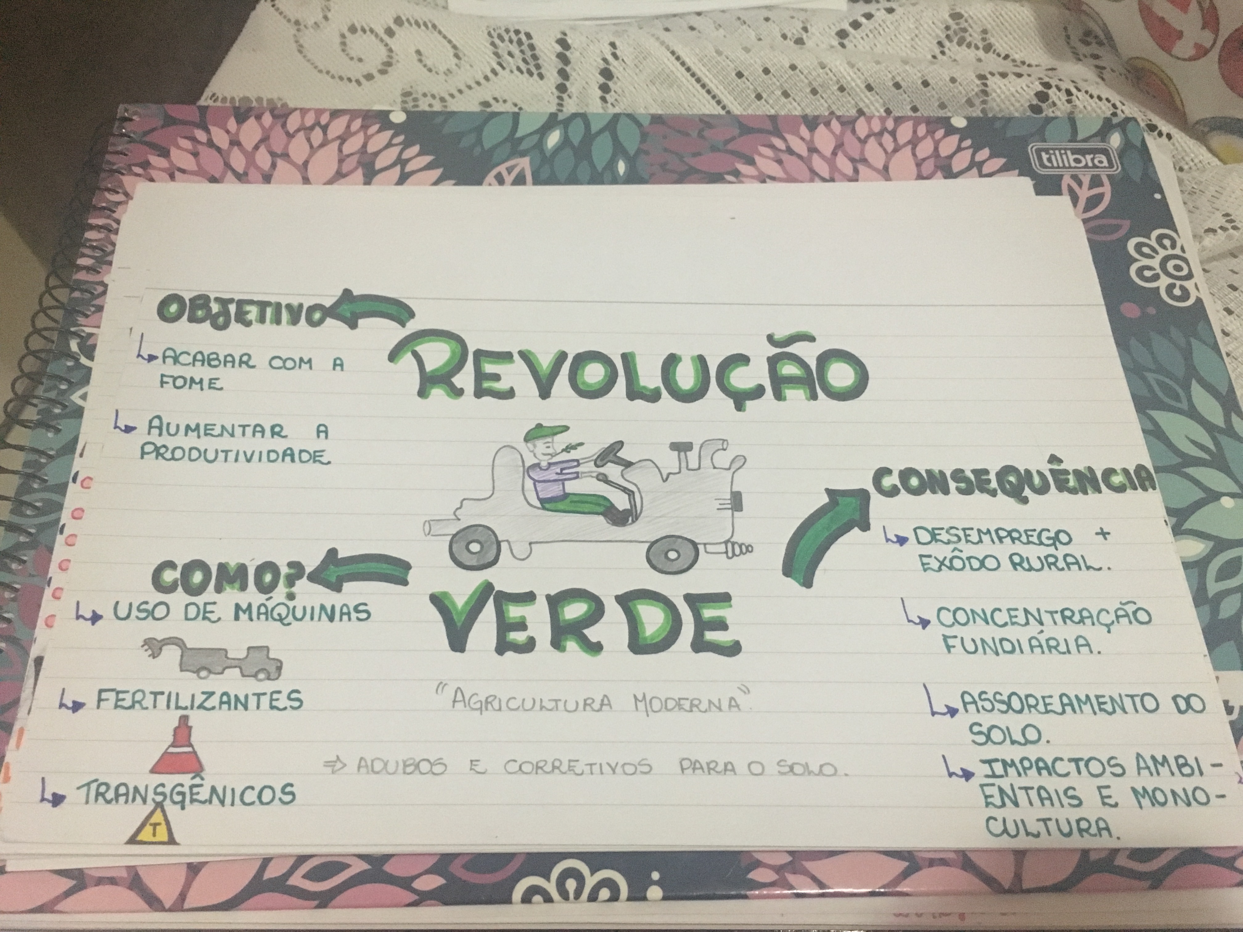 Mapa Mental Da RevoluÇÃo Verde História