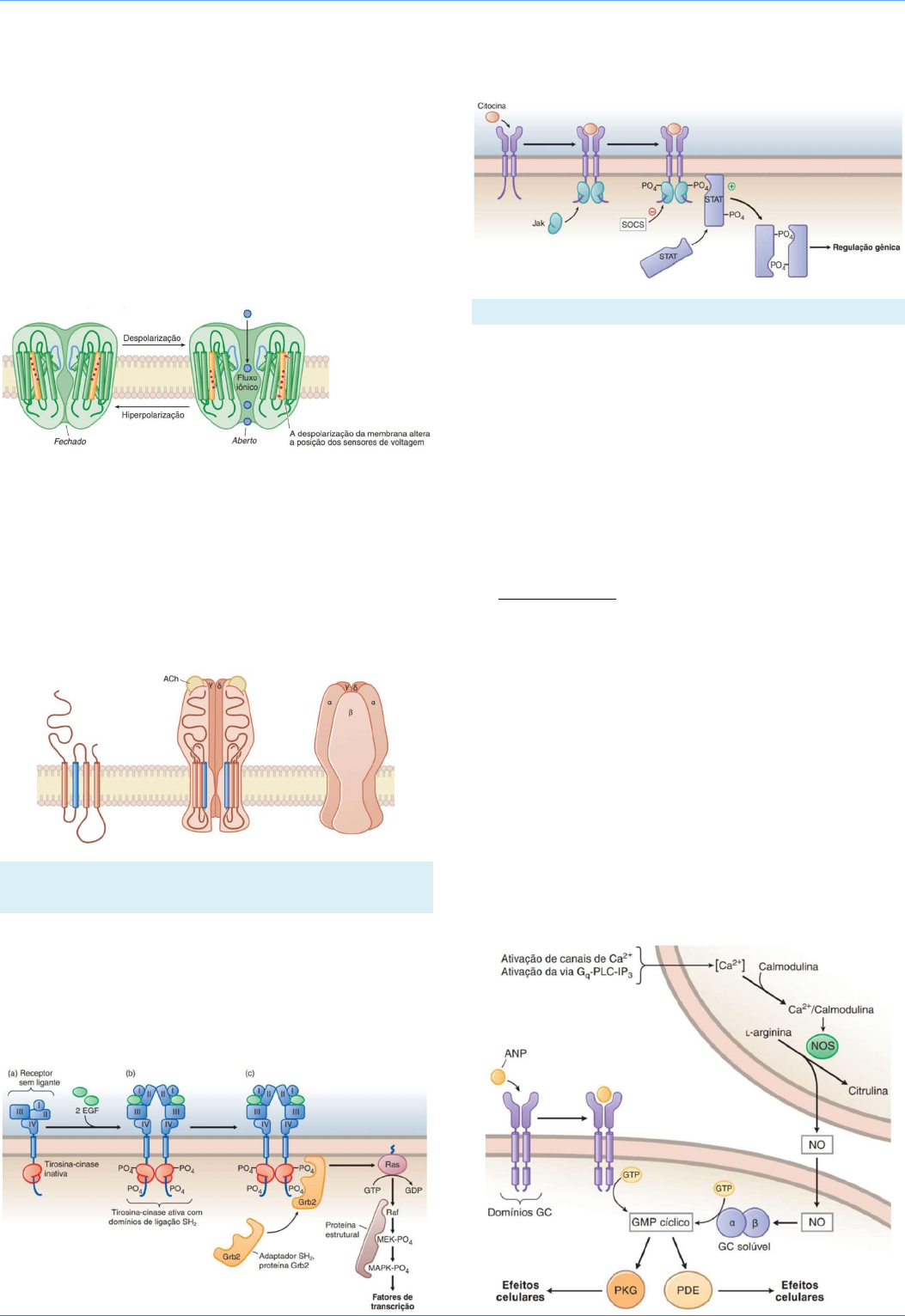 5ca0e9 2ae71fac9051477ab00b44cc967bb7f4 - Farmacologia I