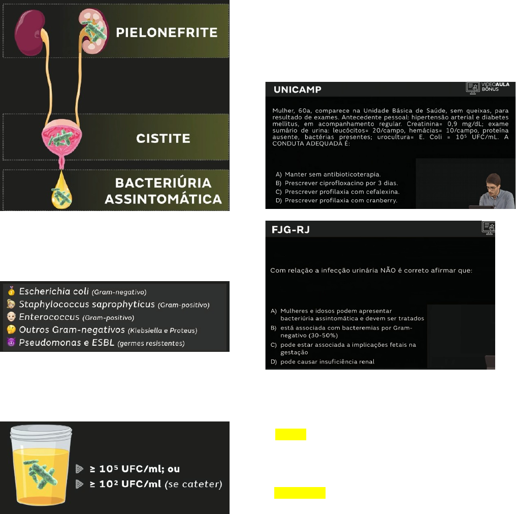Grátis: Urologia - Nefrolitíase e ITU em adulto e PED - Material Claro e  Objetivo em PDF para Estudo Rápido