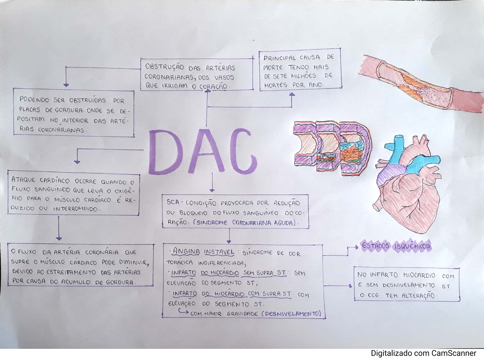 Mapa Mental Dac Cardiovascular