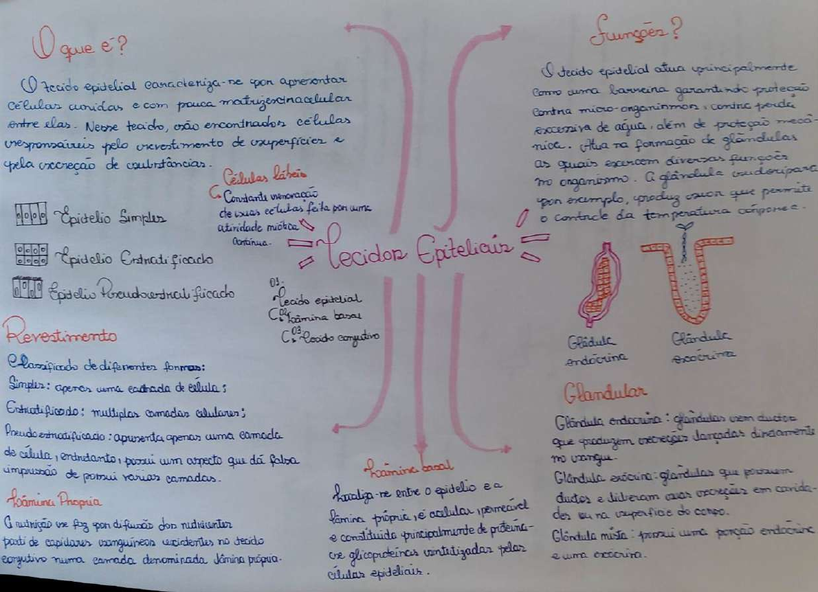 MAPA MENTAL DE TECIDO EPITELIAL, CONJUTIVO, ADIPOSO E INTRODA A EPIDEMIO - Histologia Humana