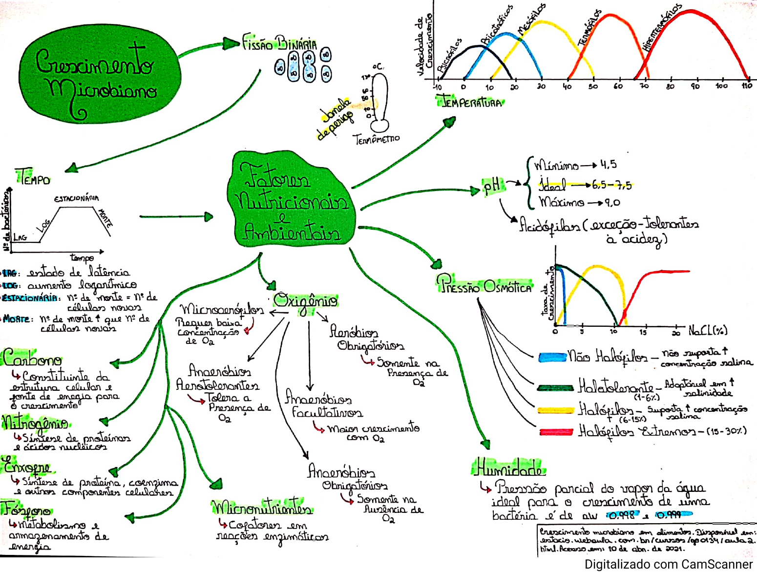 Como Fazer Um Mapa Mental De Microbiologia Mapa Meta - vrogue.co