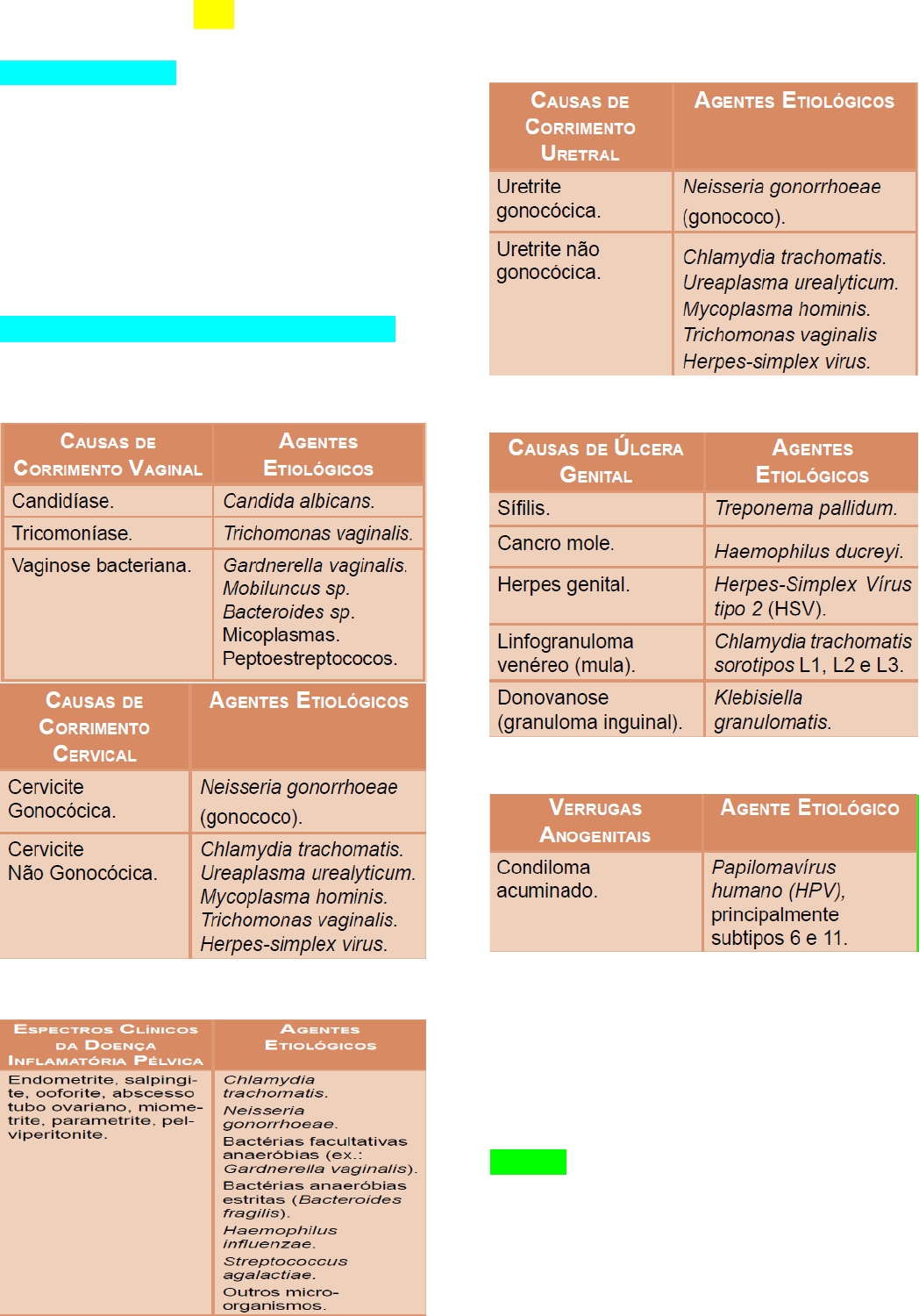 Resumo Infecções Sexualmente Transmissíveis IST   Ginecologia