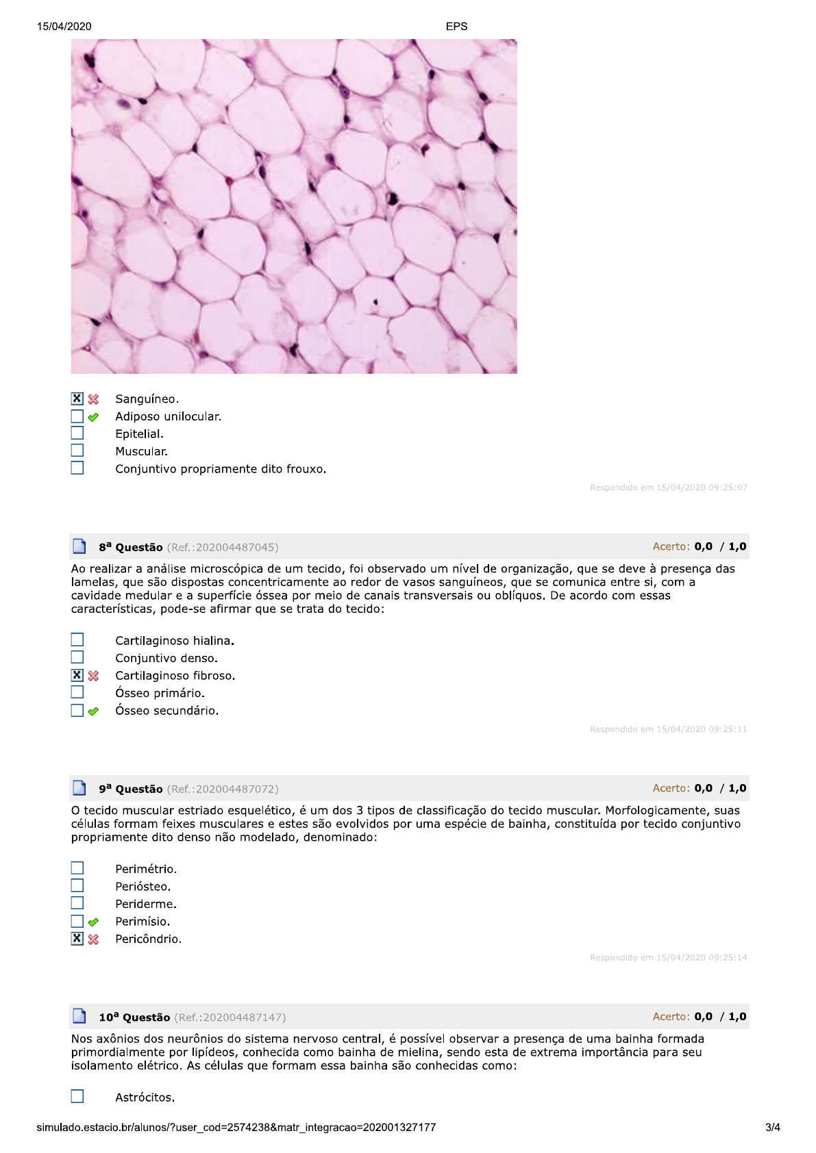 Simulado Histologia E Embriologia Histologiembriologia The Best Porn Website