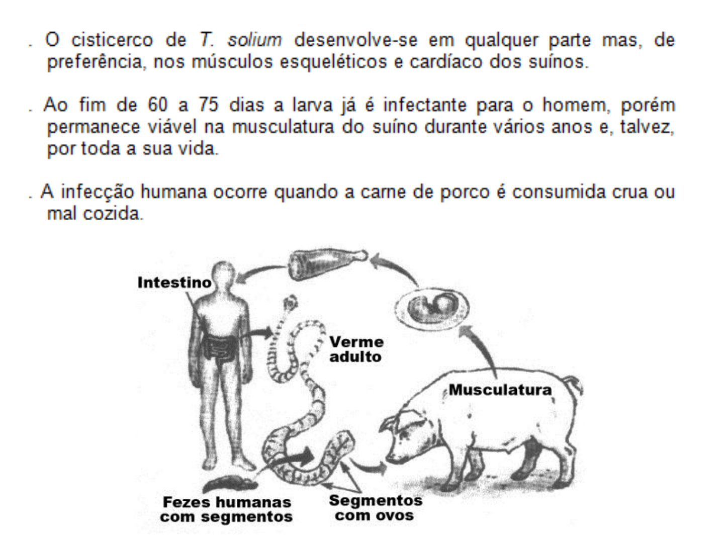 Grátis: Teníase e Cisticercose: Parasitas em Humanos - Material Claro e  Objetivo em PDF para Estudo Rápido, image size:1440x1080