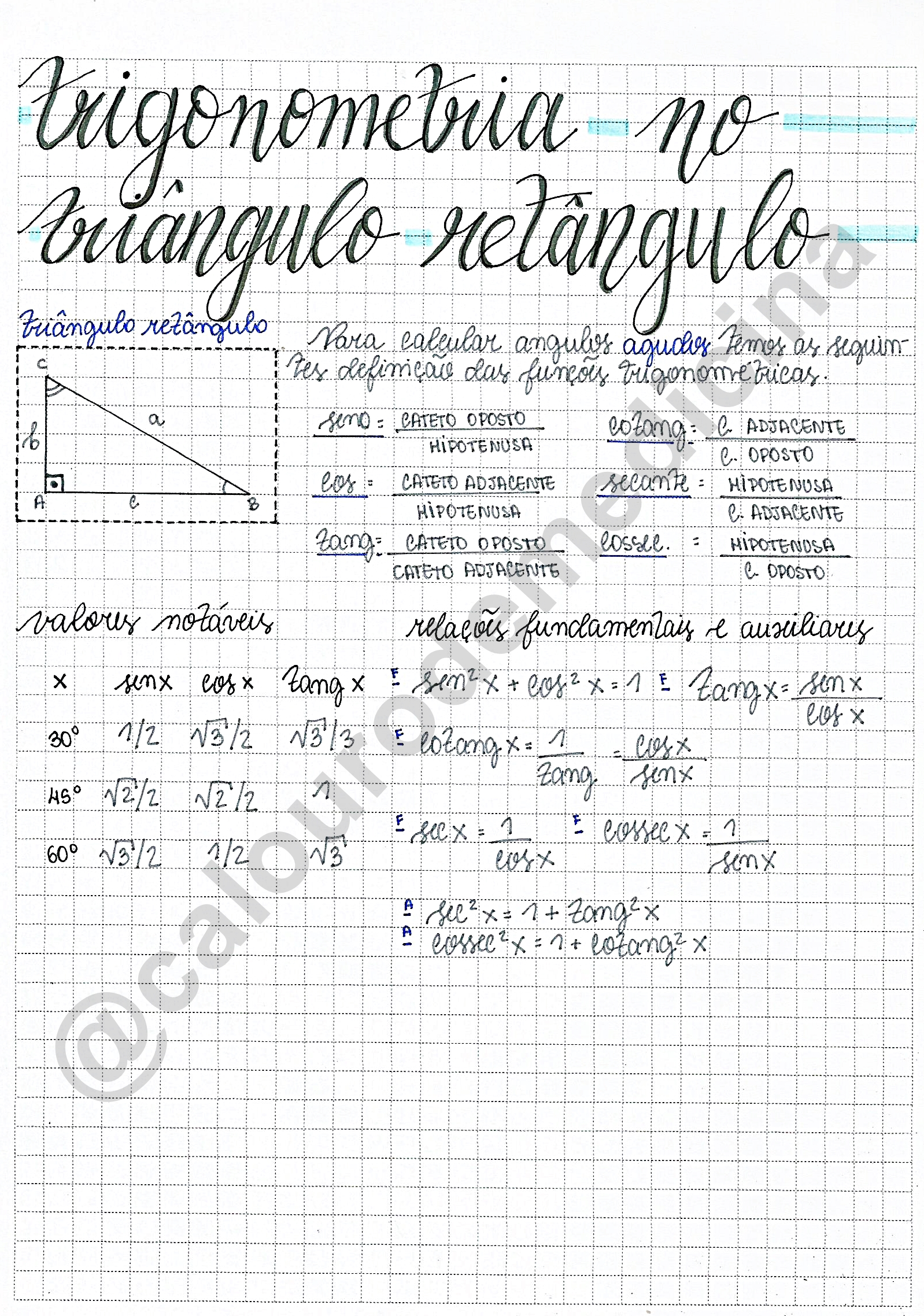 Trigonometria no triângulo retângulo (RESUMO/MAPA MENTAL) - Matemática