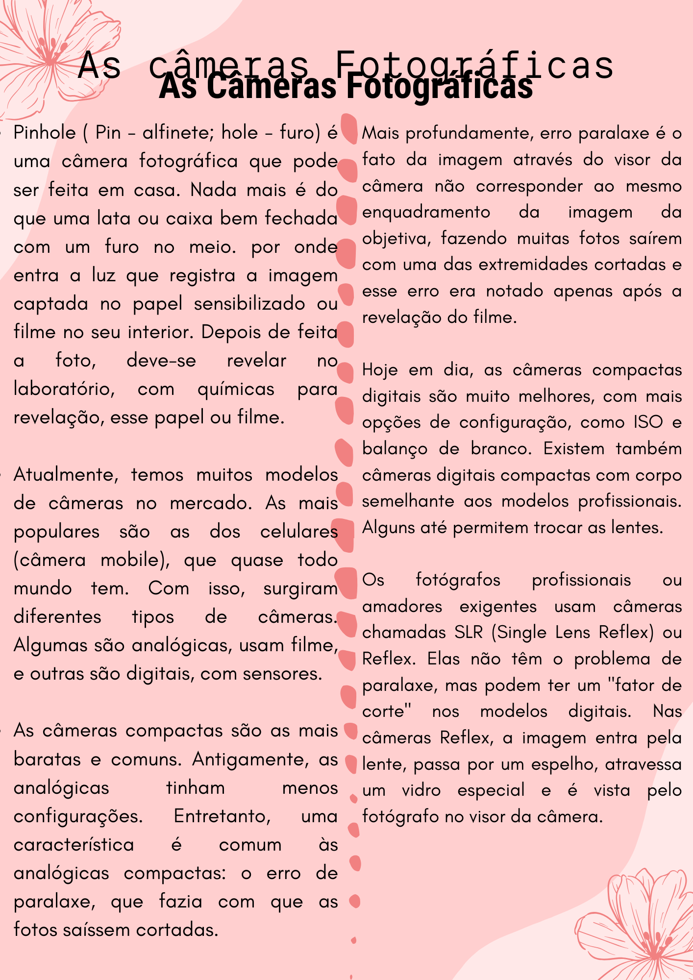 Esta caixa permite revelar filmes em qualquer lugar ~ Resumo Fotográfico