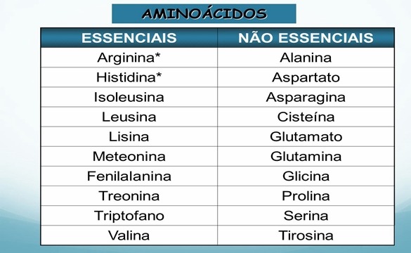 Tabela De Aminoácidos Bioquimica Geral 0543