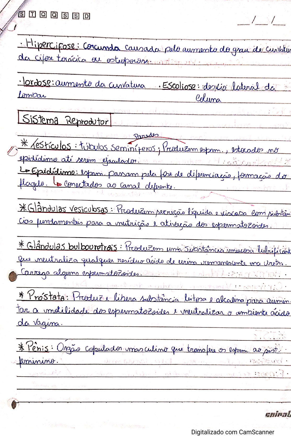 Sistema Esquel Tico Reprodutor Platelmintos E Nematelmintos Biologia