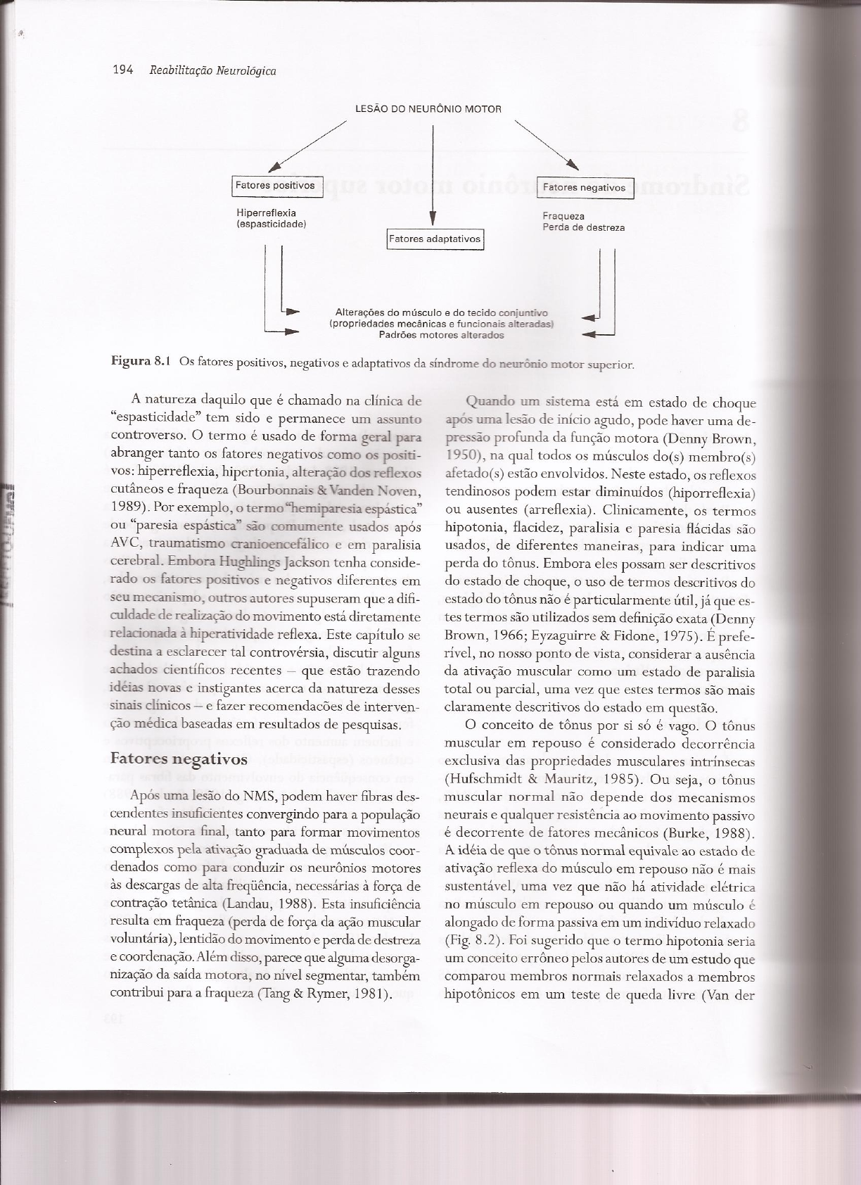 Capítulo 8 Síndrome Do Neurônio Motor Superior Neuroanatomia Aplicada à Fisioterapia 8654