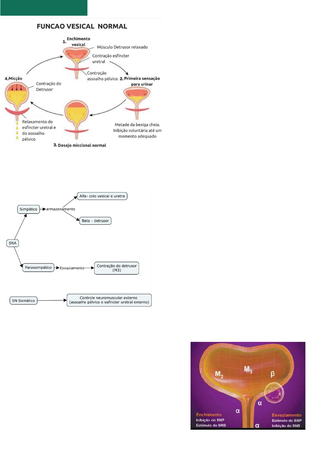 🚨 COMO CALCULAR O VALOR DO ÂNGULO X , apenas conhecido um ângulo