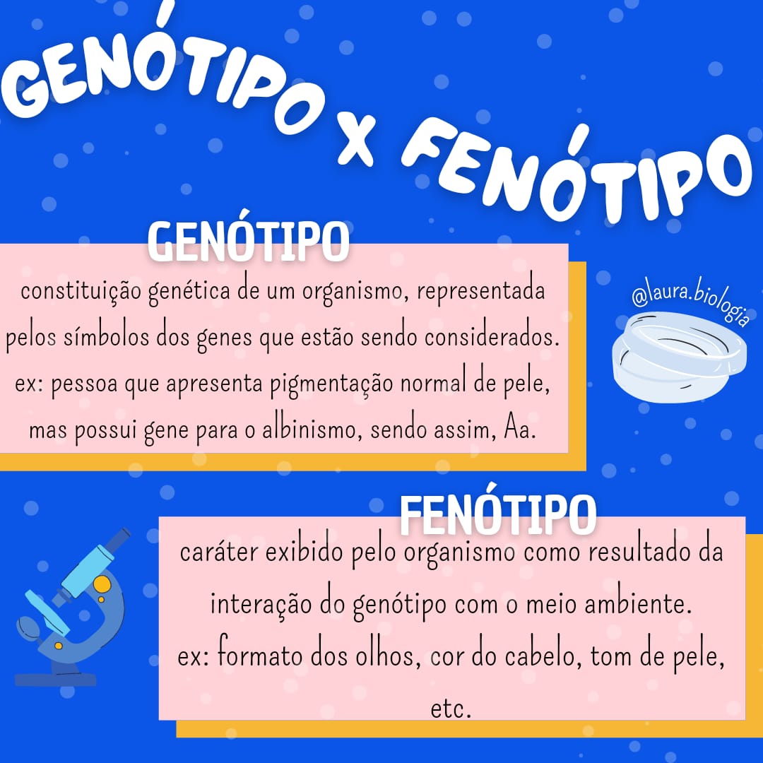 Genótipo X Fenótipo - Biologia