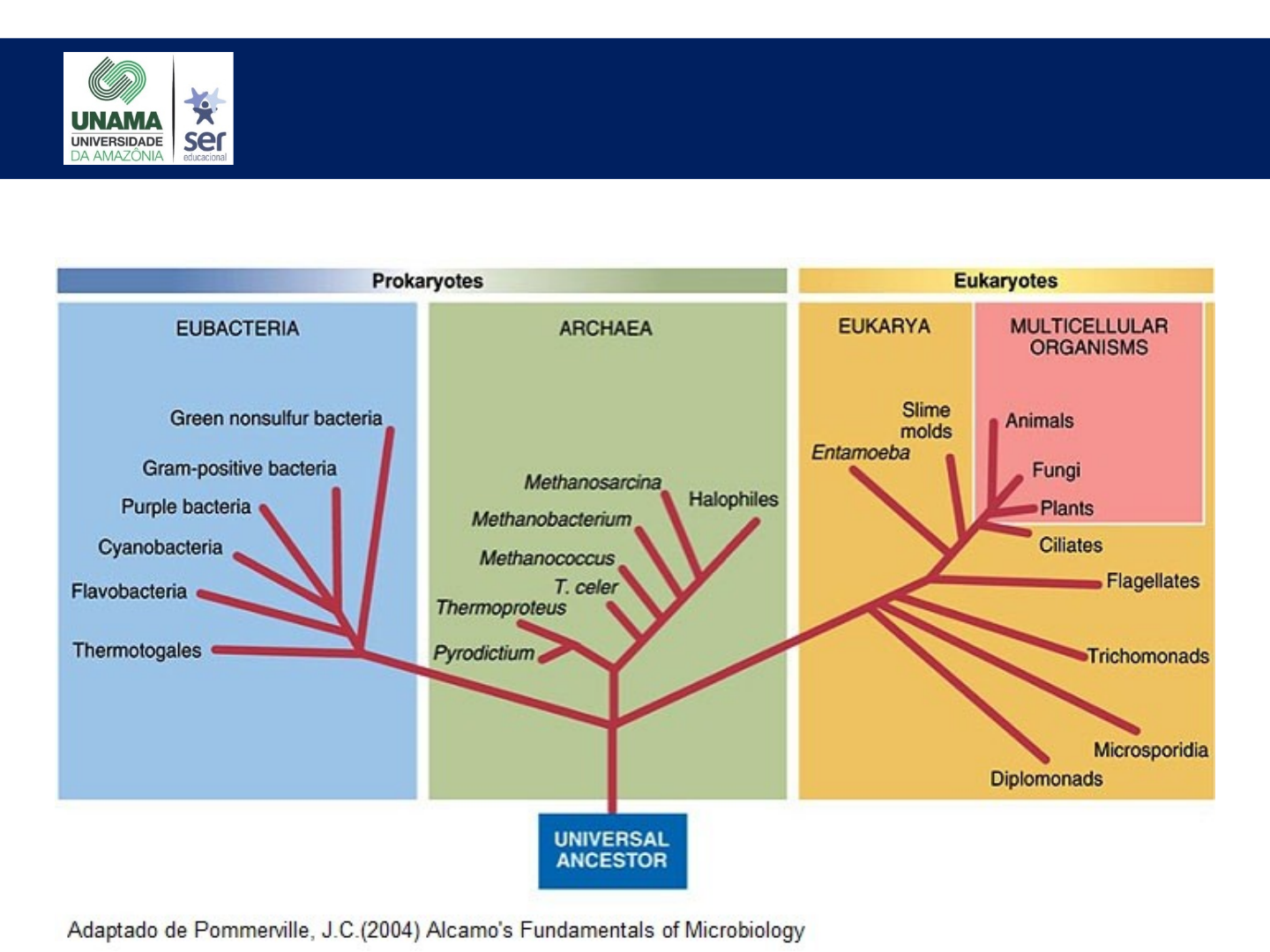 MICROBIOTA E MICROBIOMA - Nutrição