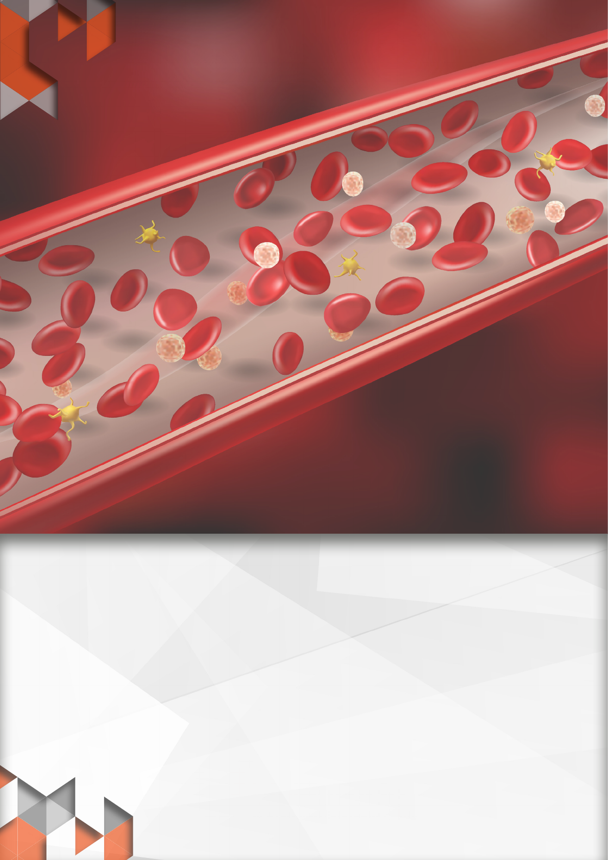 Arthur Oliveira on X: Após a centrifugação, podemos observar 3 fases  distintas. A primeira, são as Células Vermelhas do Sangue (Red Blood  Cells). A fase do meio é a Matriz de Fibrina