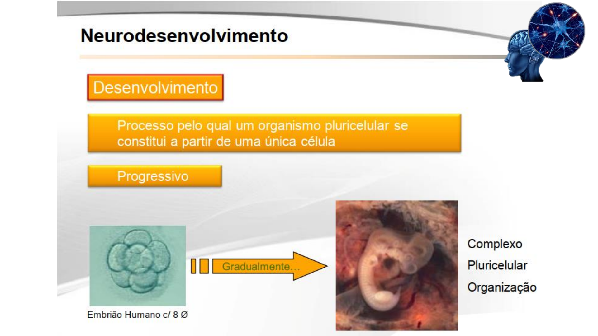 Neurobiologia #6 - Neurodesenvolvimento I - Neurociência