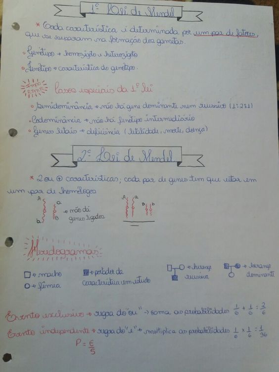 Mapa mental resumo - lei de mendel 12 - Genética I