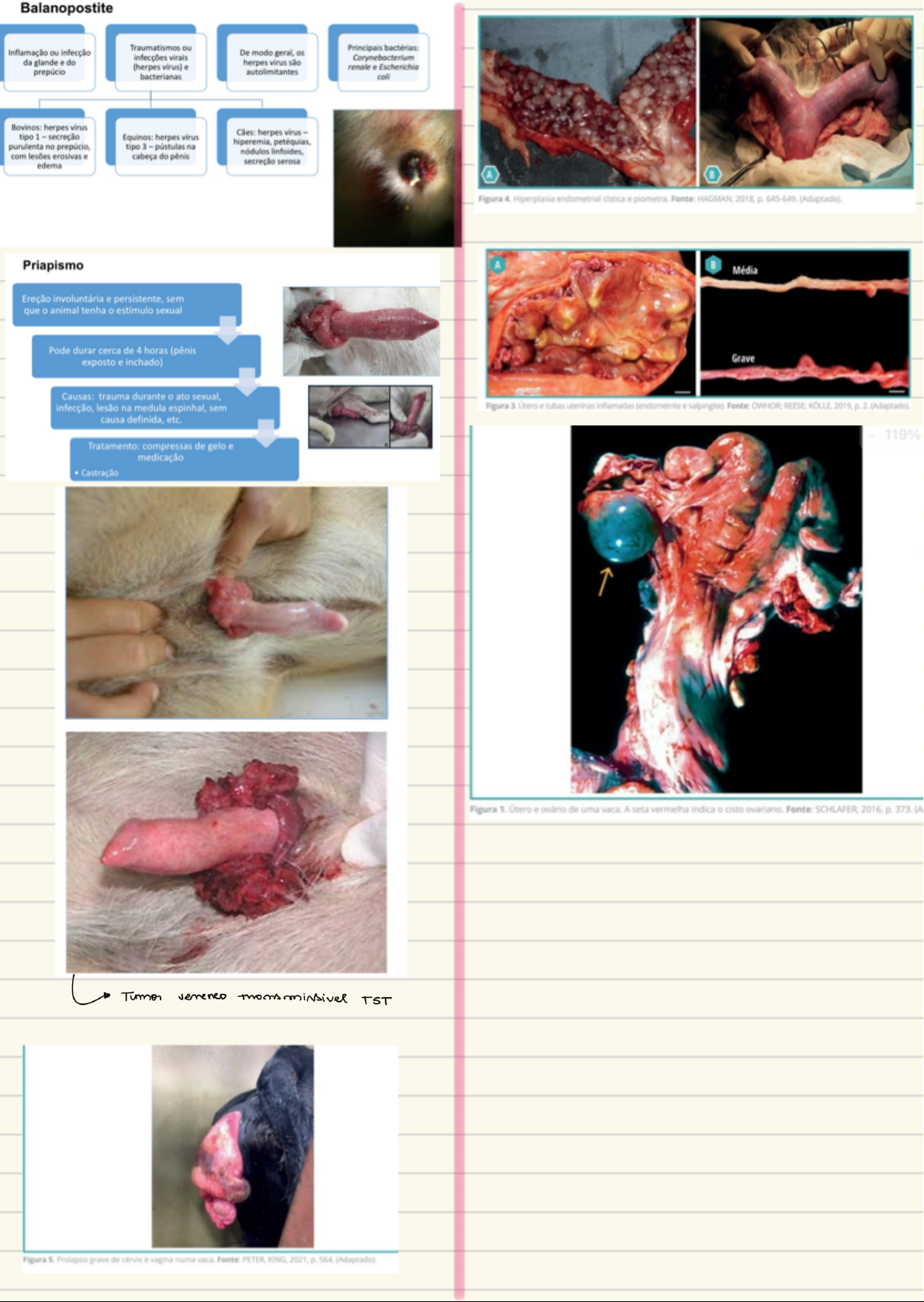 Revista porciNews - Marzo 2023 by agriNews - Issuu, image size:1191x1678