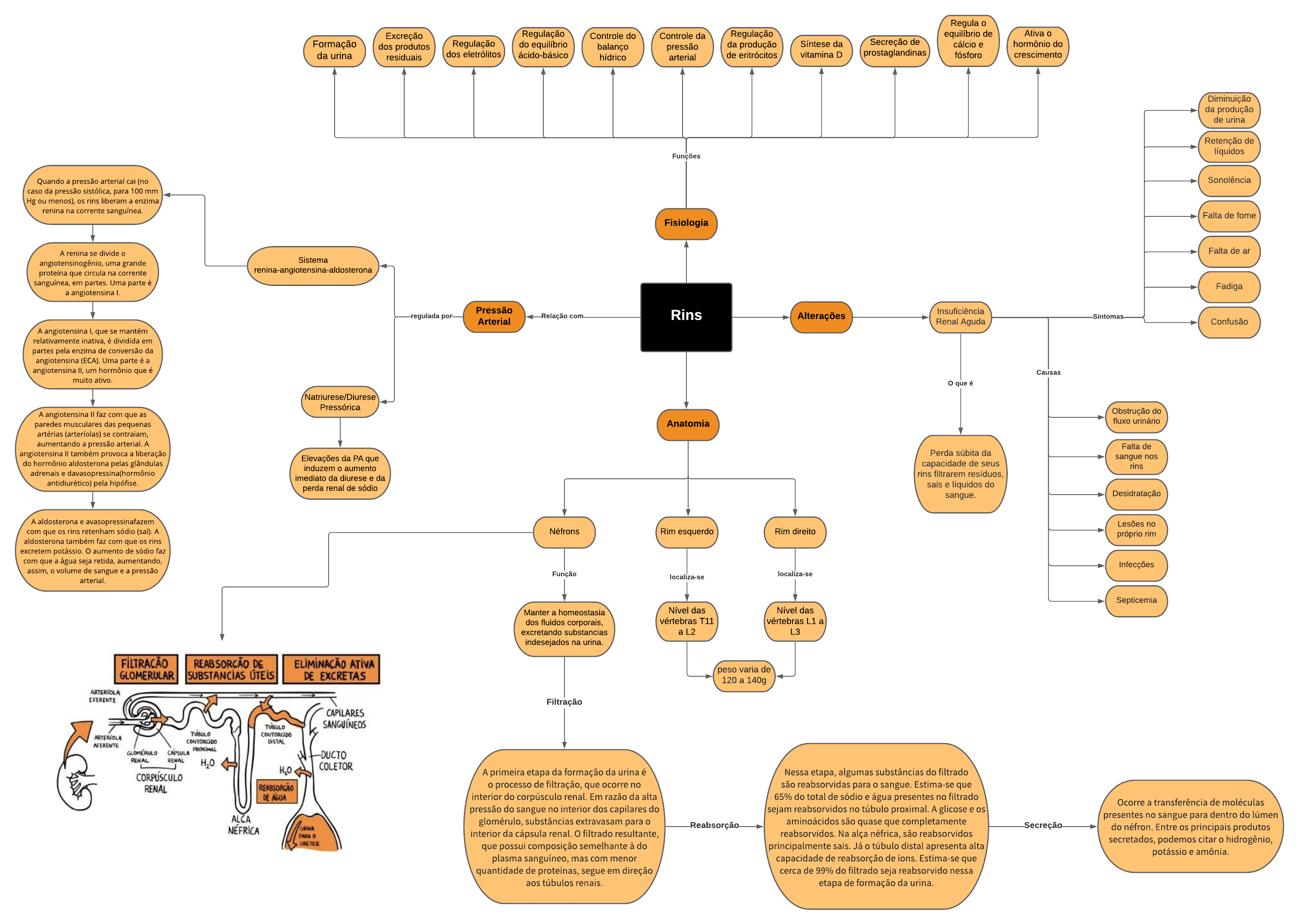 Mapa Mental - Rins - Tutoria Med