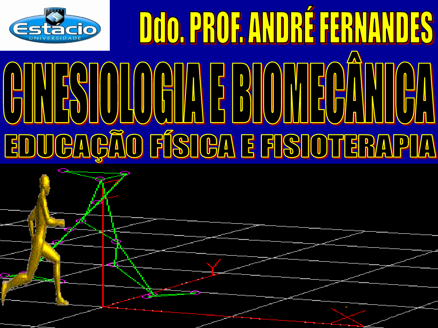 Significado de Anamnese - Cinesiologia e Biomecânica