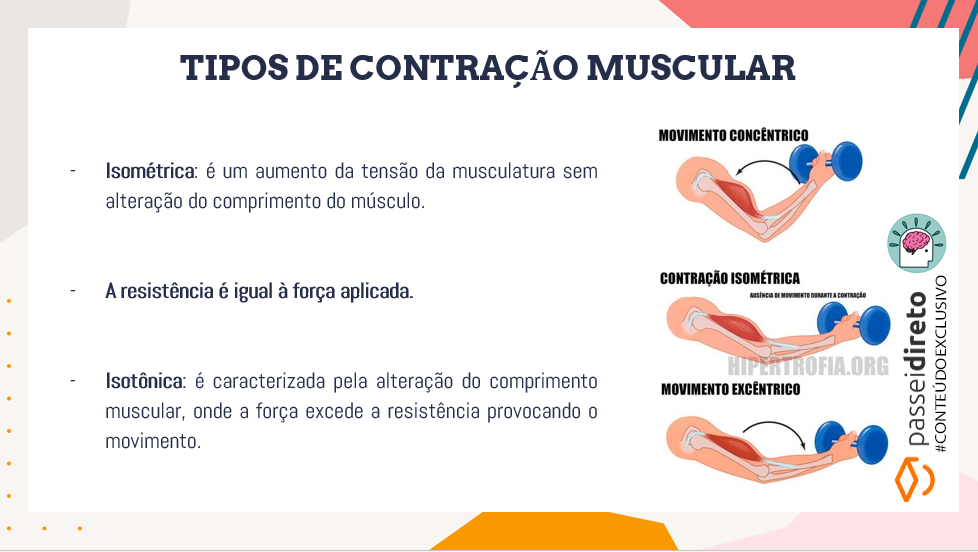 Contracao Isotonica Avaliação Oline 1 Ano Do Ensino Médio | Riba