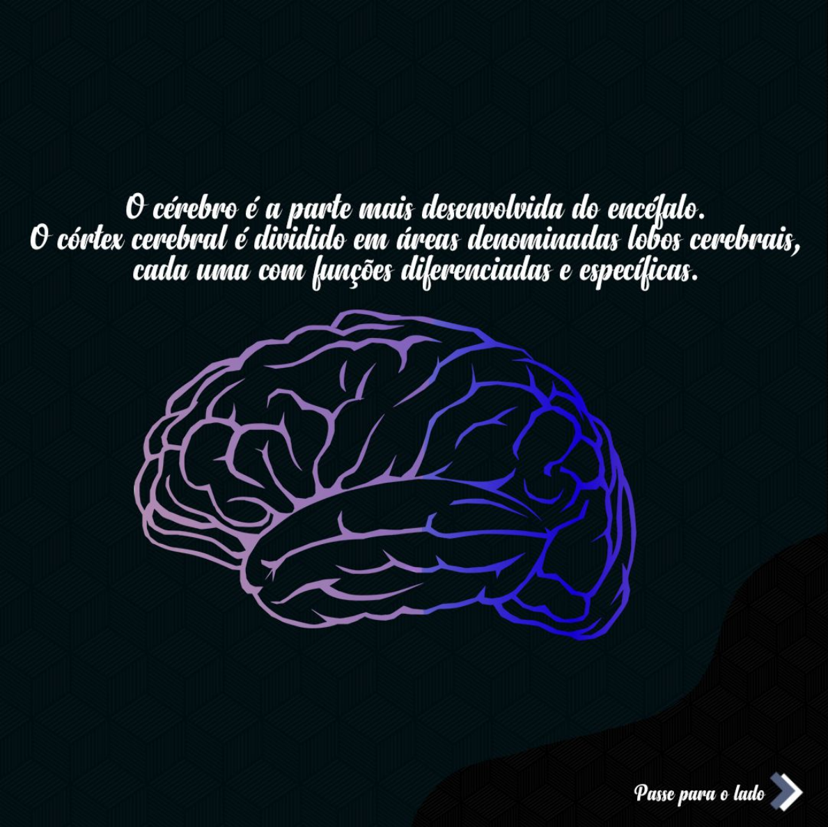 Lobos Cerebrais - Neuroanatomia e Neurofisiologia
