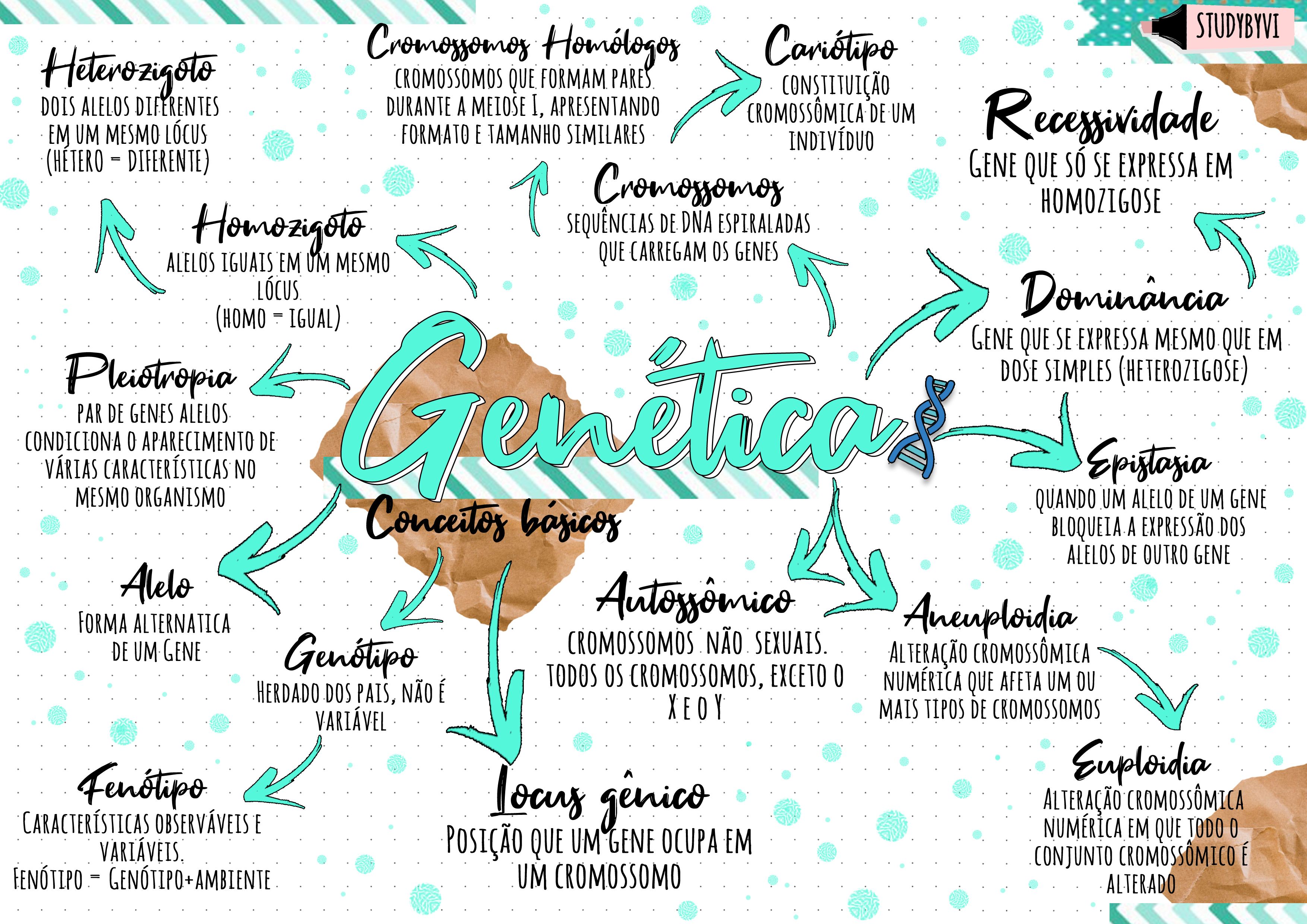 Mapa Mental Genética Conceitos Básicos Genética I