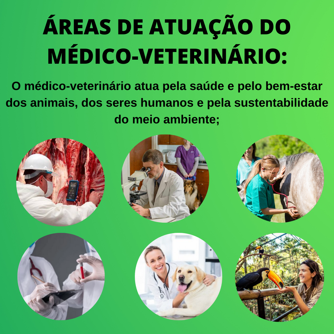 Atuação do MédicoVeterinário Medicina Veterinária Atuação do MédicoVeterinário Medicina Veterinária