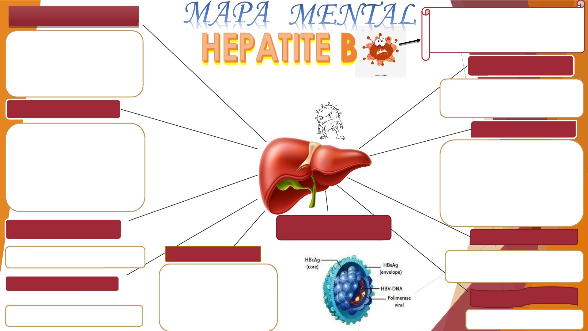 Mapa Mental sobre a Hepatite B - Microbiologia