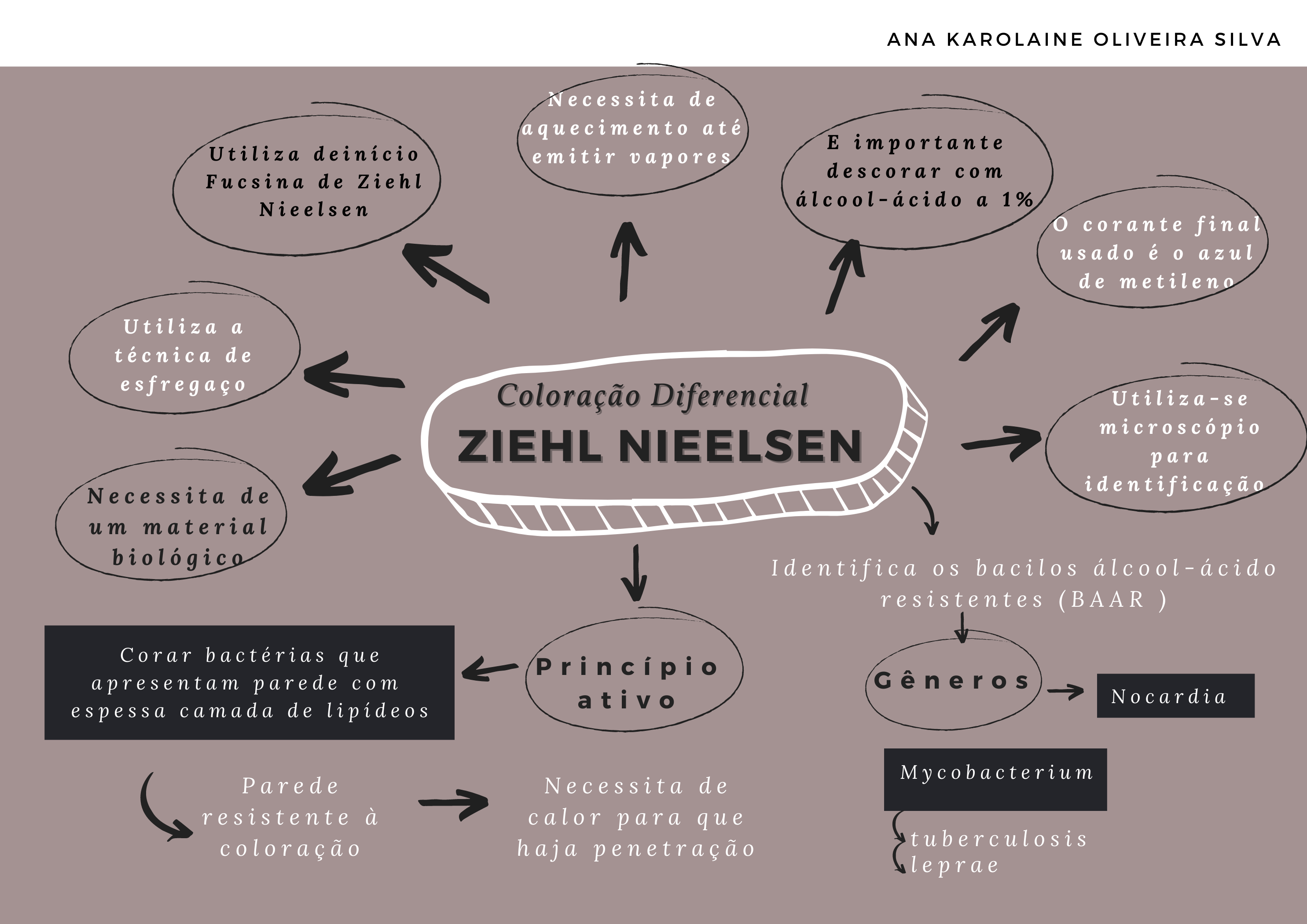 Mapa mental Coloração de Ziehl Neelsen Microbiologia