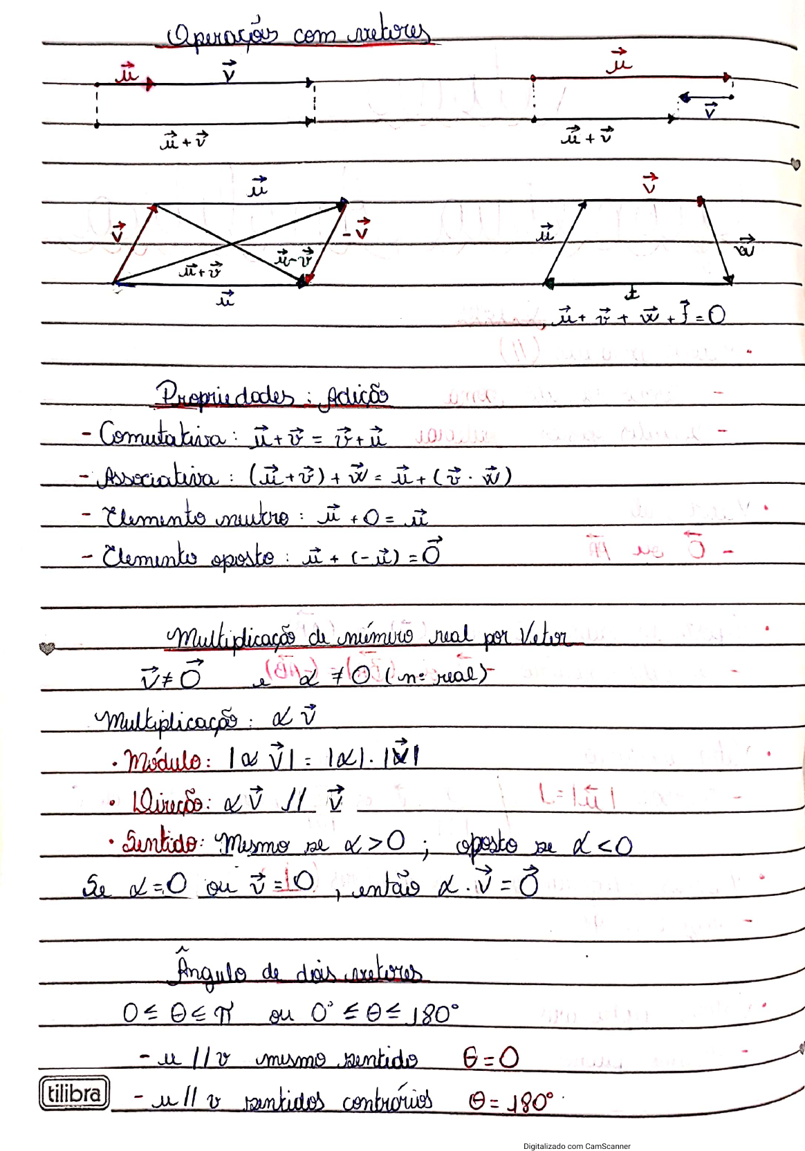 Vetores Introdução (parte 1) - Vetores E Geometria Analítica