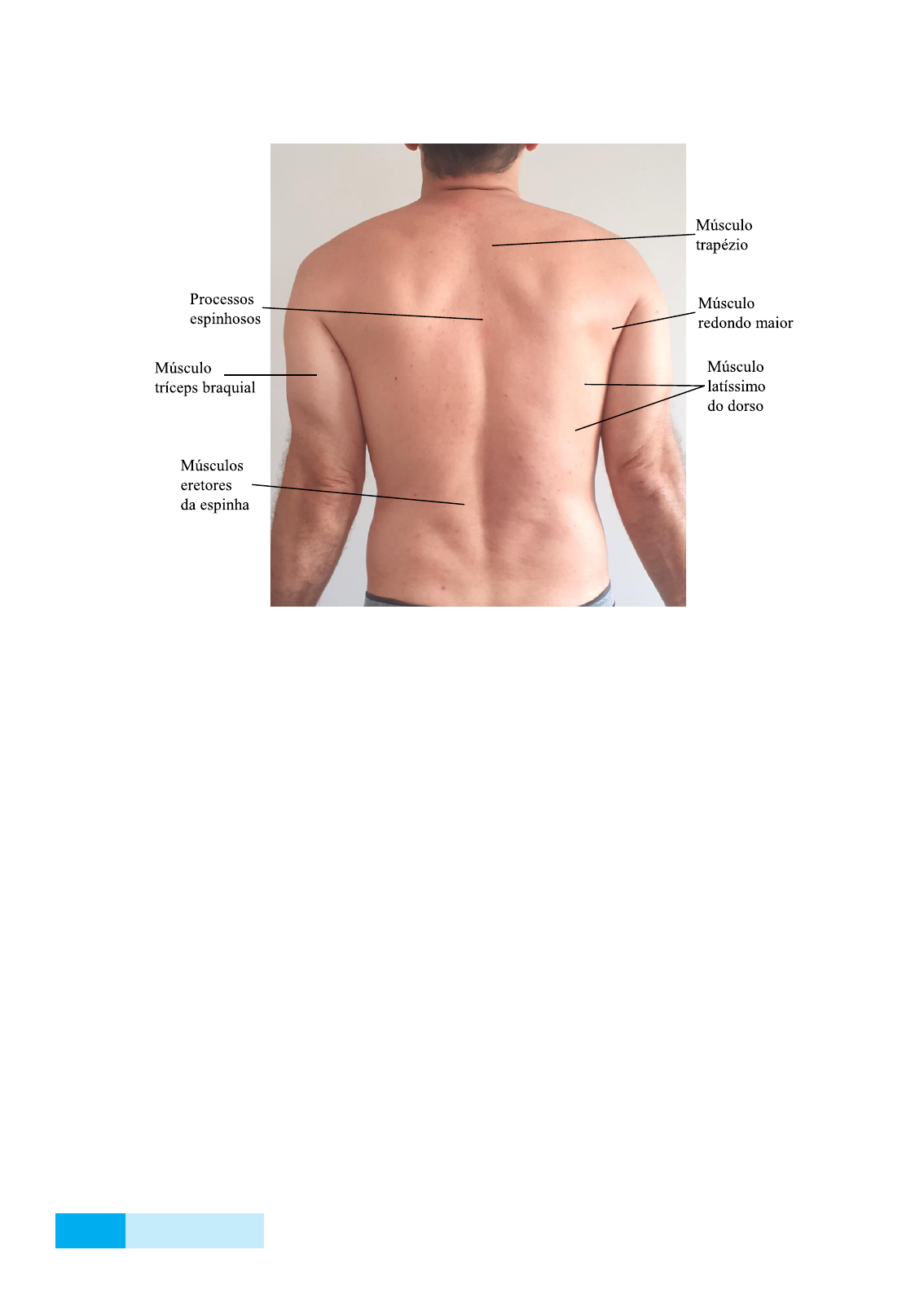 Sem título-1, image size:1134x1587