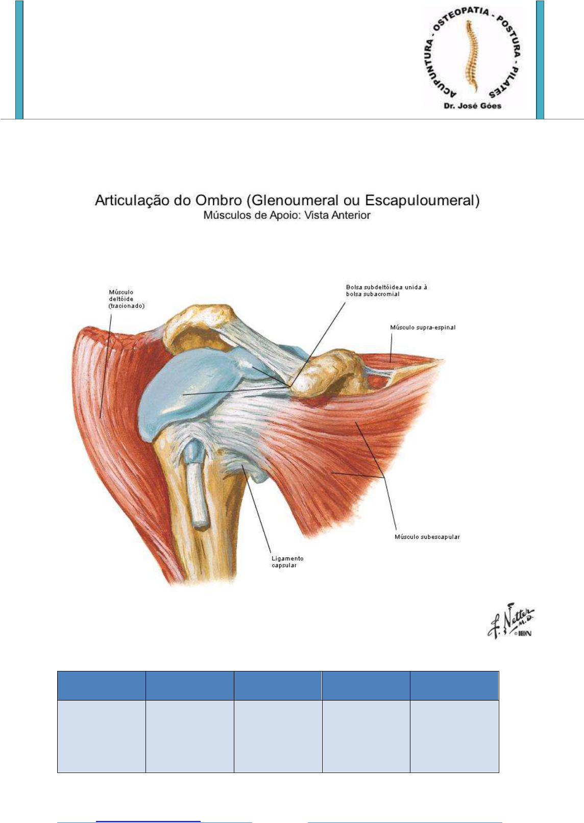 Grátis: ANATOMIA DO OMBRO - Material Claro e Objetivo em PDF para Estudo  Rápido, image size:1144x1613