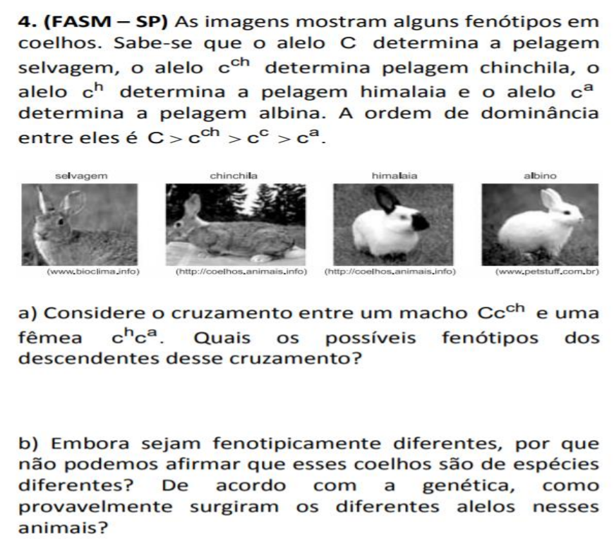 Biodiversidade Brasileira on X: Estou procurando alguns artigos sobre  animais albinos e OLHA ESSE QUE EU ENCONTREI. Um macaco-aranha (Ateles  geoffroyi) que foi registrado em Honduras! A imagem ao lado mostra o