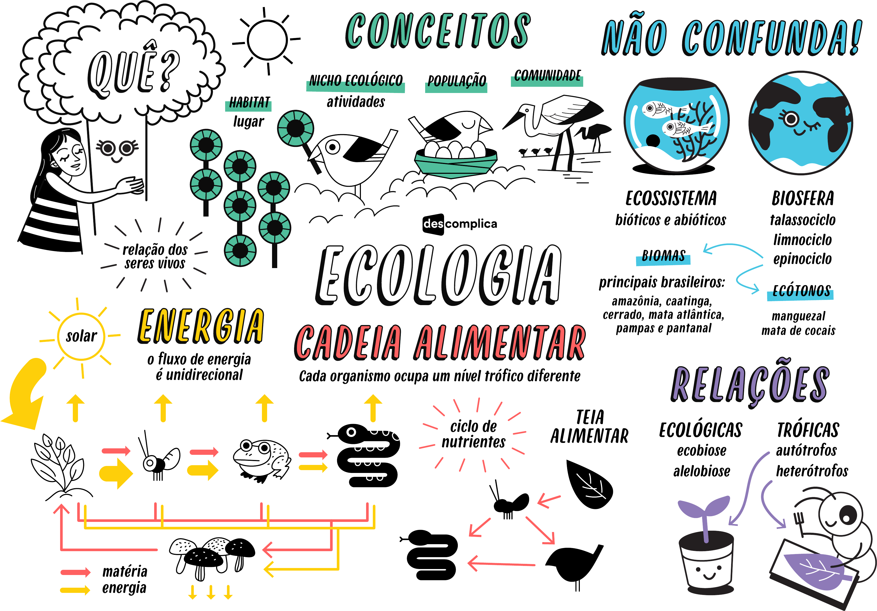 Ecologia Mapa Mental Biologia Porn Sex Picture 0030