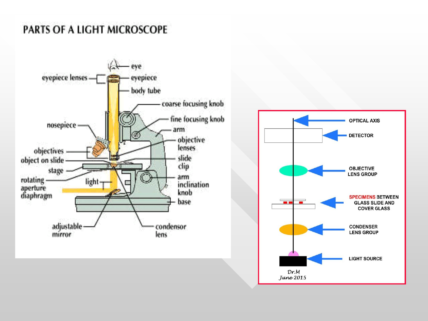 Diagramma Del Microscopio Vuoto Sistema A Ultra Alto Vuoto (UHV) Per