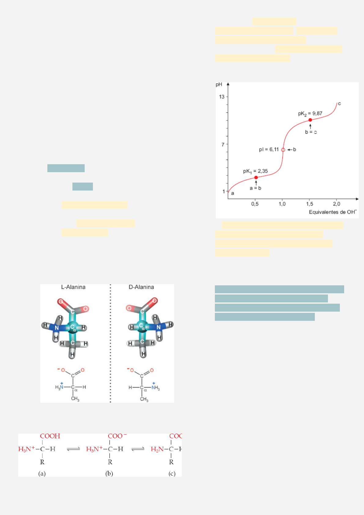 Grátis: introdução a bioquímica - Material Claro e Objetivo em PDF para  Estudo Rápido, image size:1191x1684