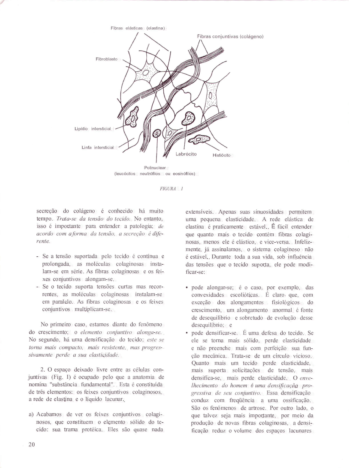 Fisiologia Neuromuscular Tecnicas Em Terapia Manual 9