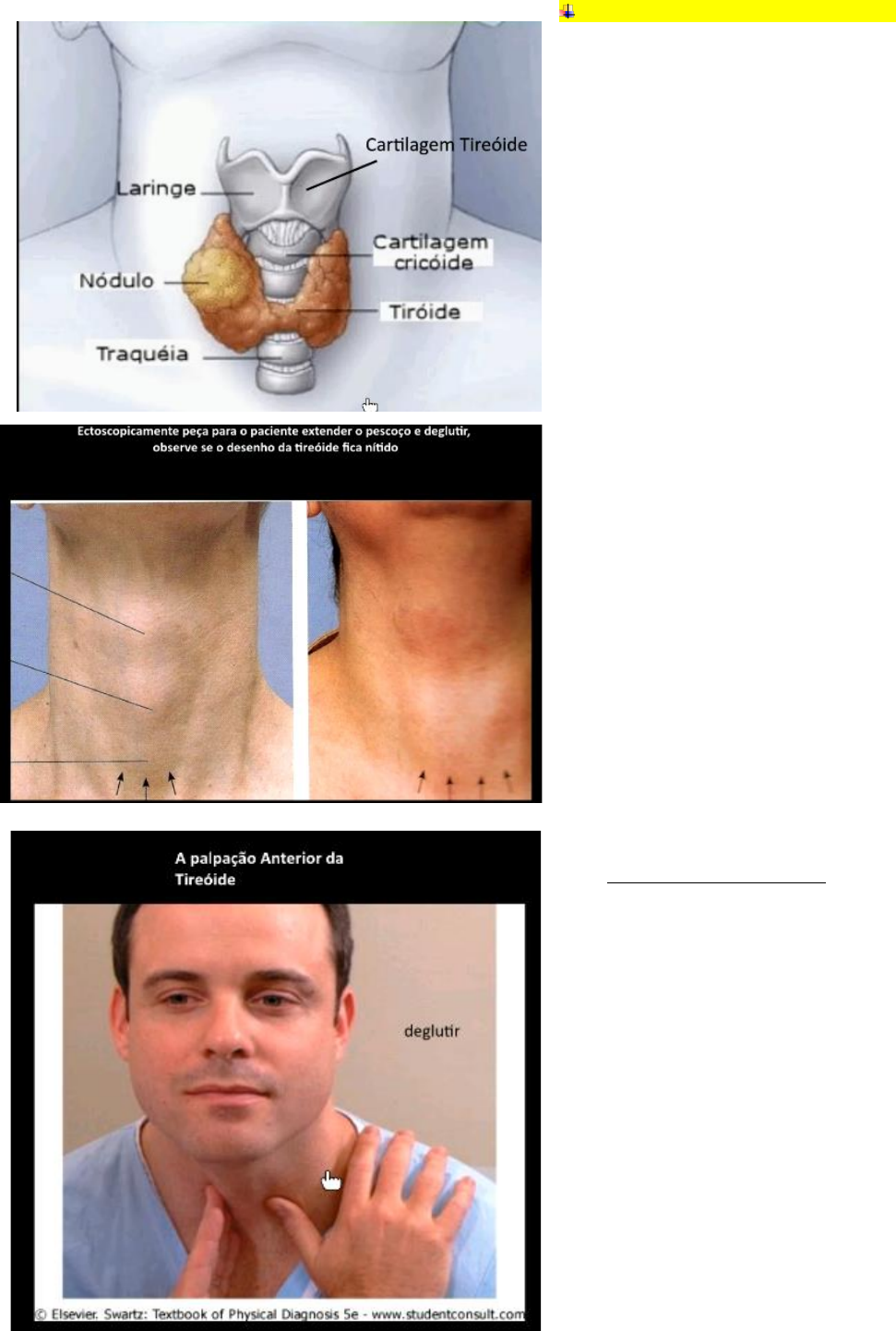 Grátis: Semio- cabeça e pescoço - Material Claro e Objetivo em PDF para  Estudo Rápido, image size:971x1442
