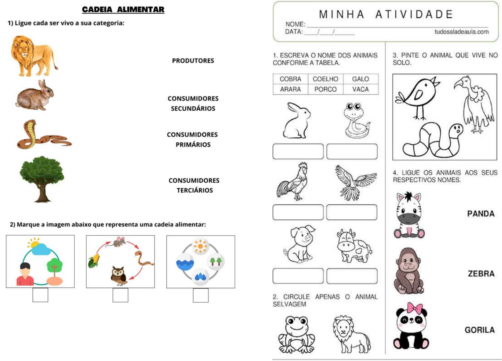 Grátis: cadeia alimentar - Material Claro e Objetivo em PDF para Estudo  Rápido, image size:1620x1167