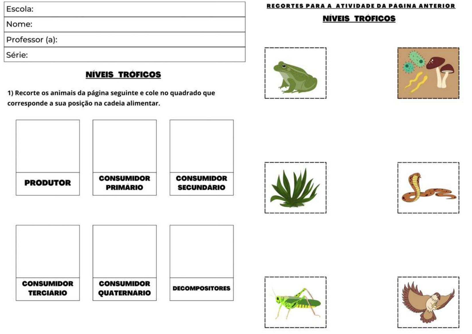 CADEIA ALIMENTAR | Rosangela Rosangela | Quizur, image size:1645x1165