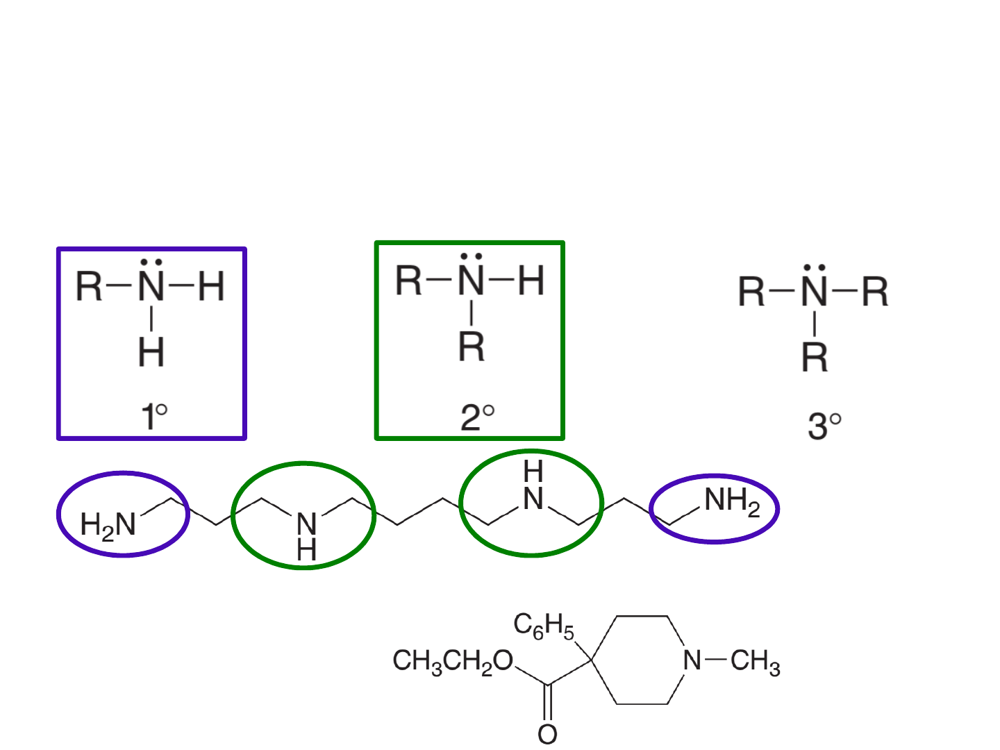 Grátis: Aminas: Estrutura, Nomenclatura e Propriedades - Material Claro e  Objetivo em PDF para Estudo Rápido, image size:1440x1080
