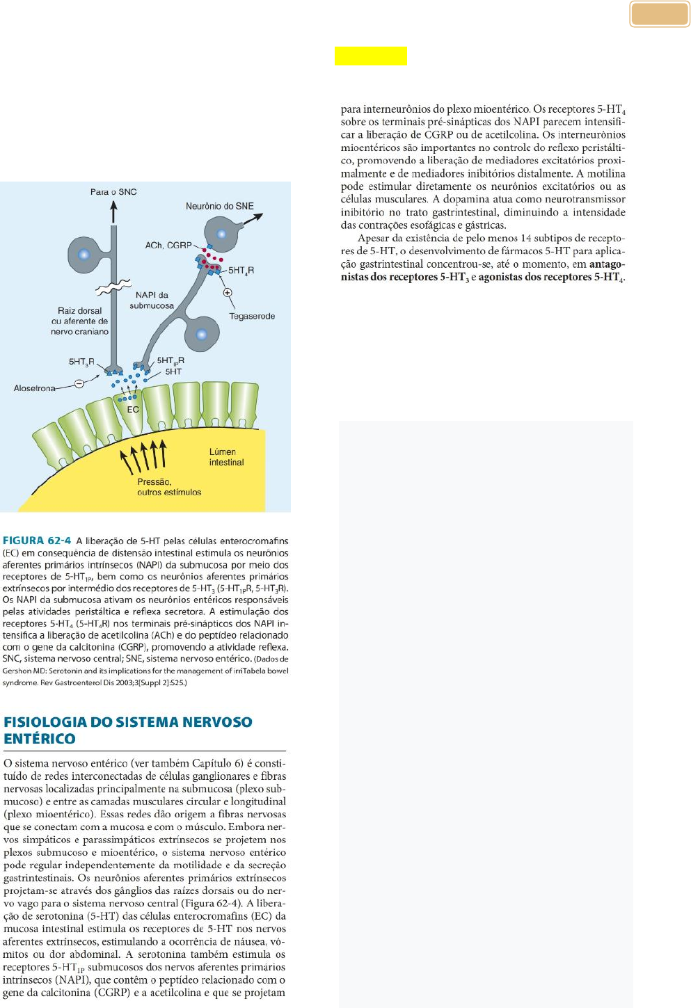 PDF) Tratamento conservador de intussuscepção colônica no adulto