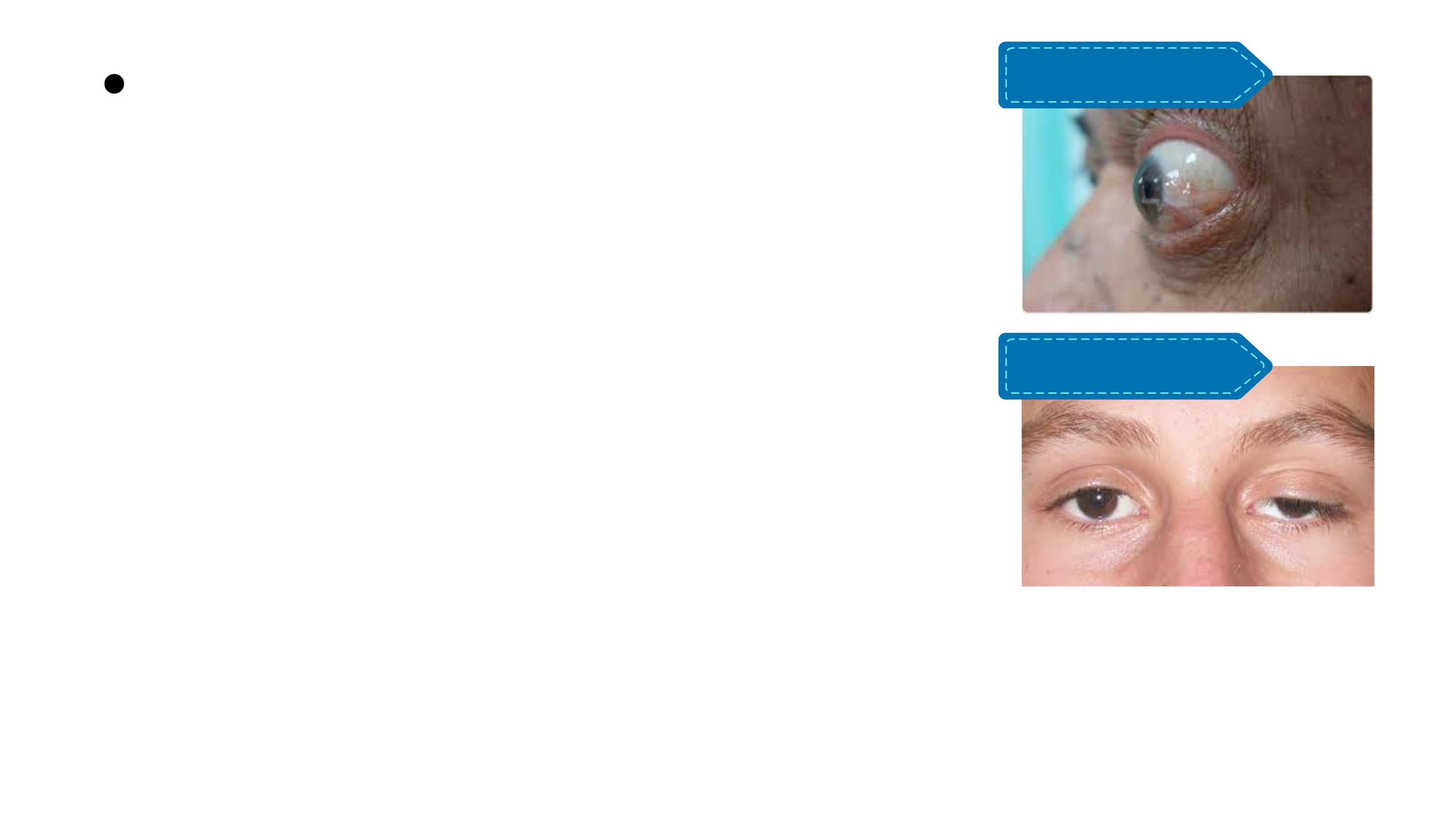 HERA Natural, image size:2880x1620