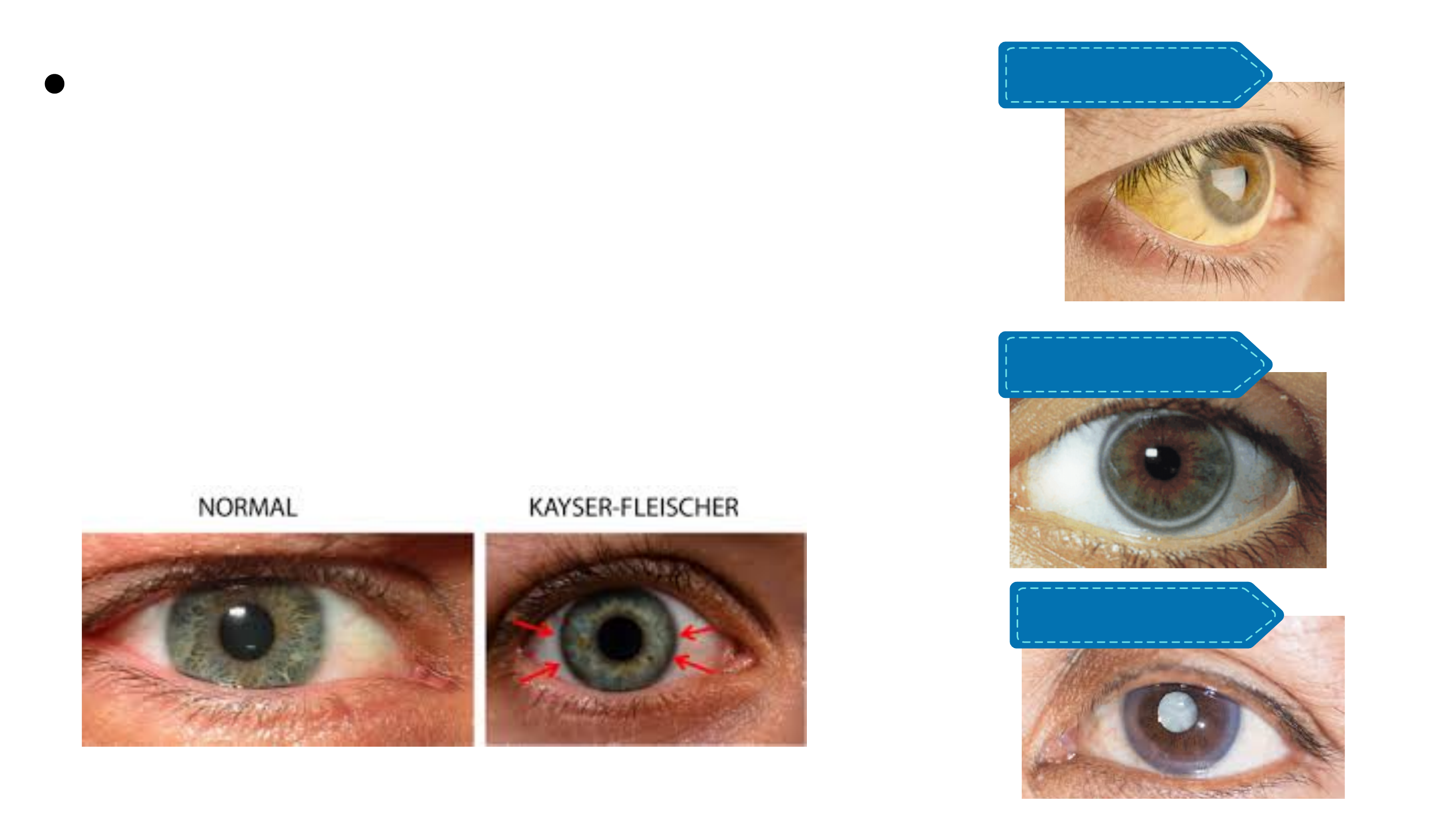 Neurogenética | Ingrid Gomes (@neurogeneticabr) • Instagram photos and  videos, image size:2880x1620