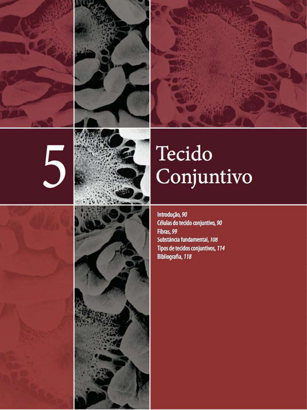 Tecido Conjuntivo - Histologia B ... Dição - Junqueira Carneiro.pdf-1 ...