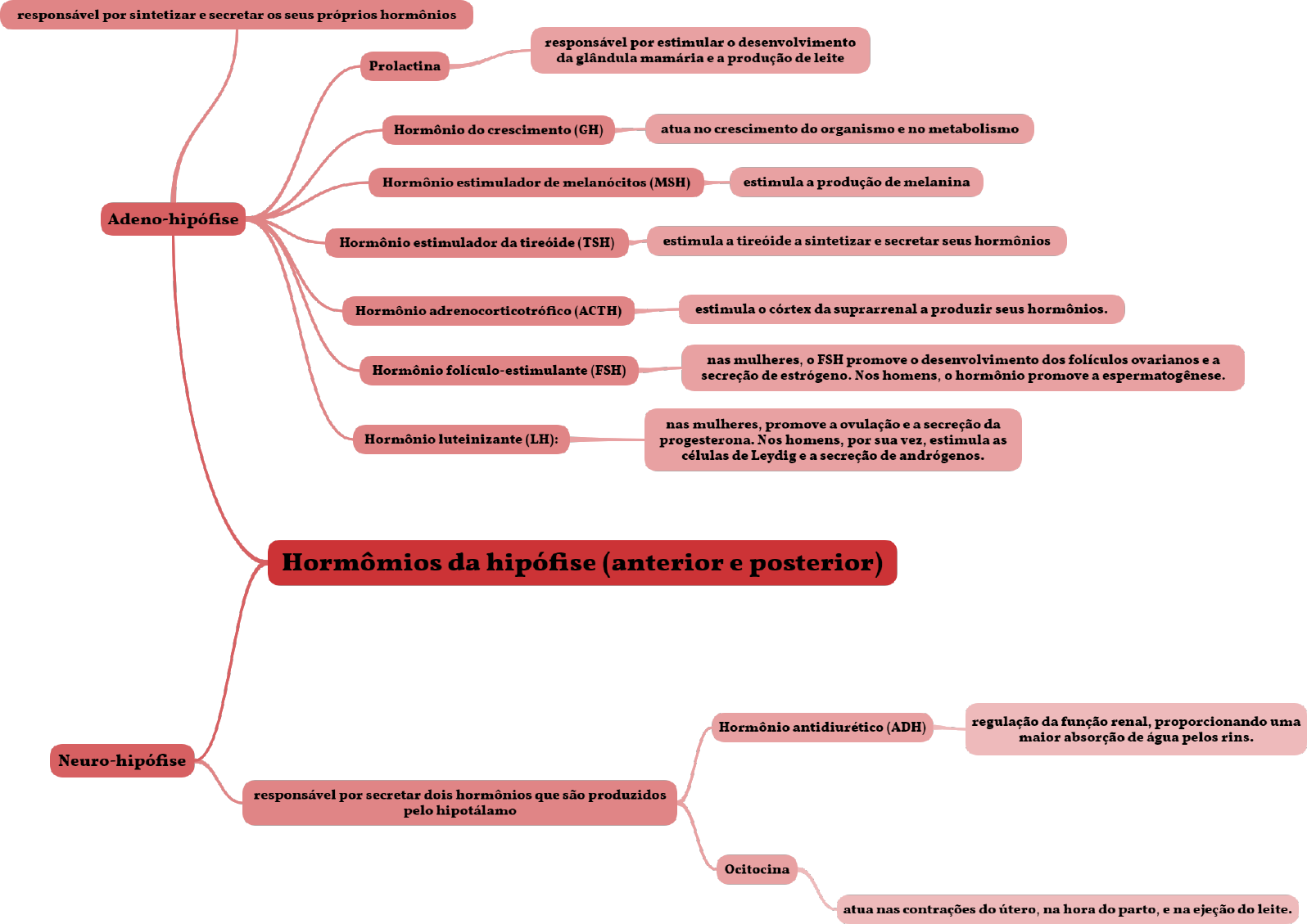 Mapas Mentais Bioquimica Bioqu Mica Cl Nica