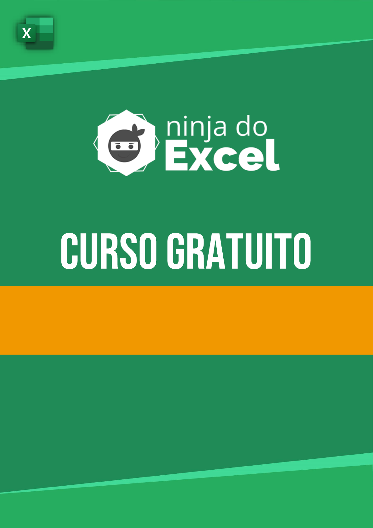 Oportunidade única - Ninja do Excel