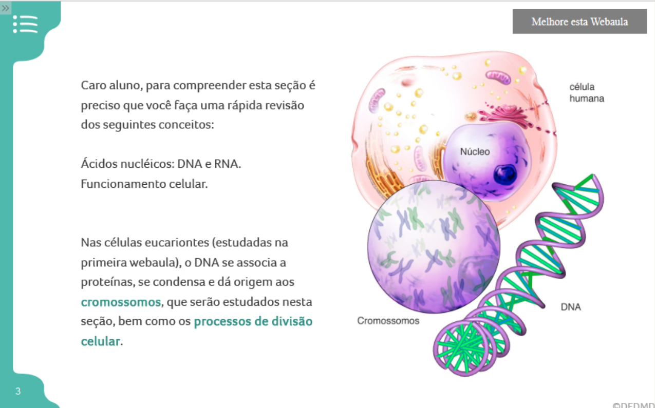 BBC U1 S4 Cromossomos E Divisão Celular - Bases Biológicas Do Comportamento