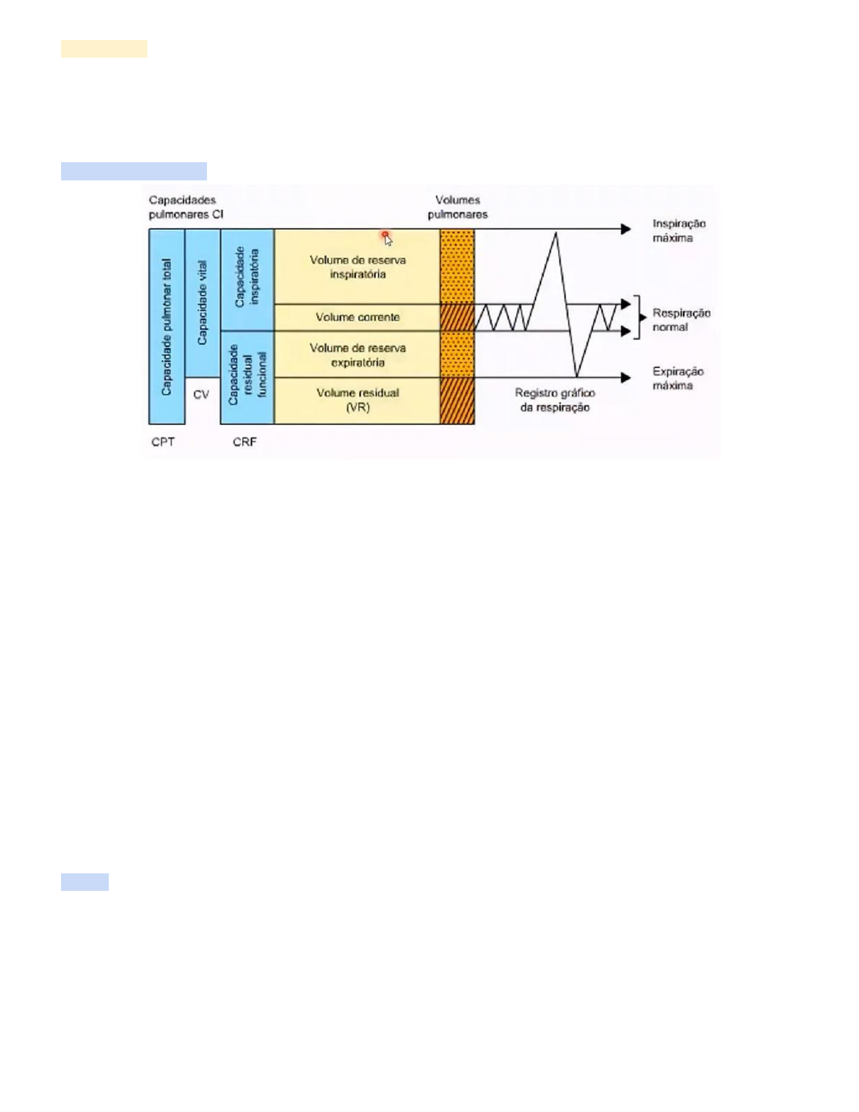 gráfico de capacidade vital