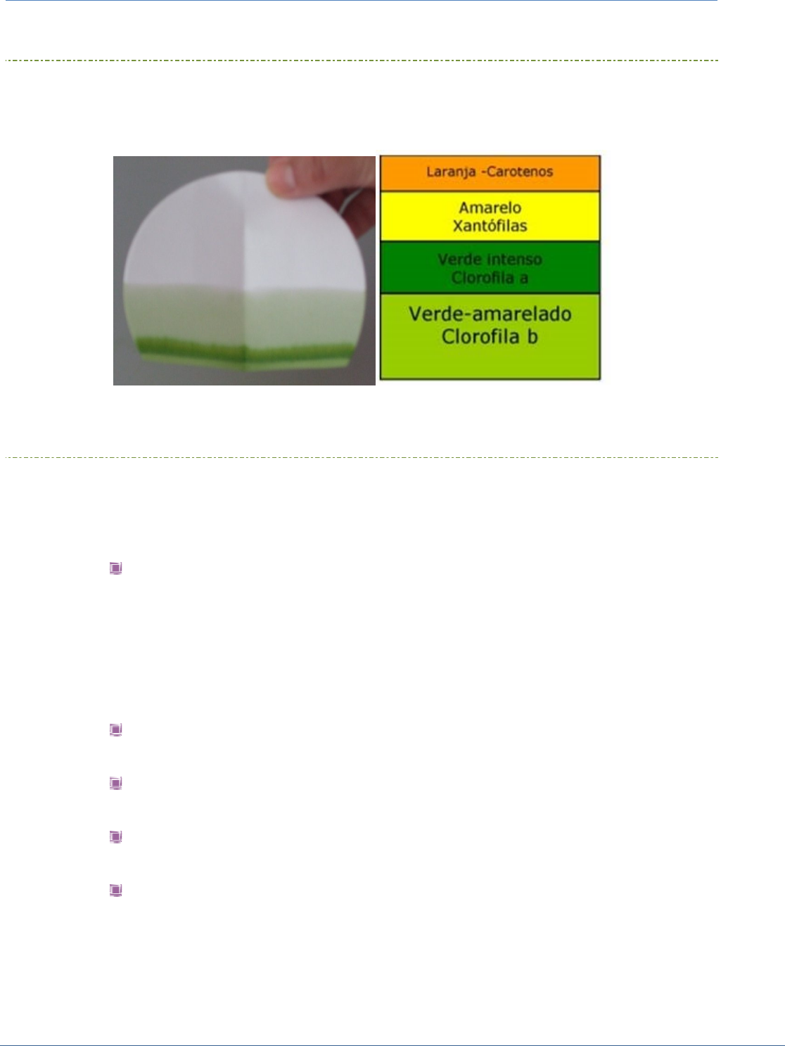 Botanicamente falando, image size:1116x1487